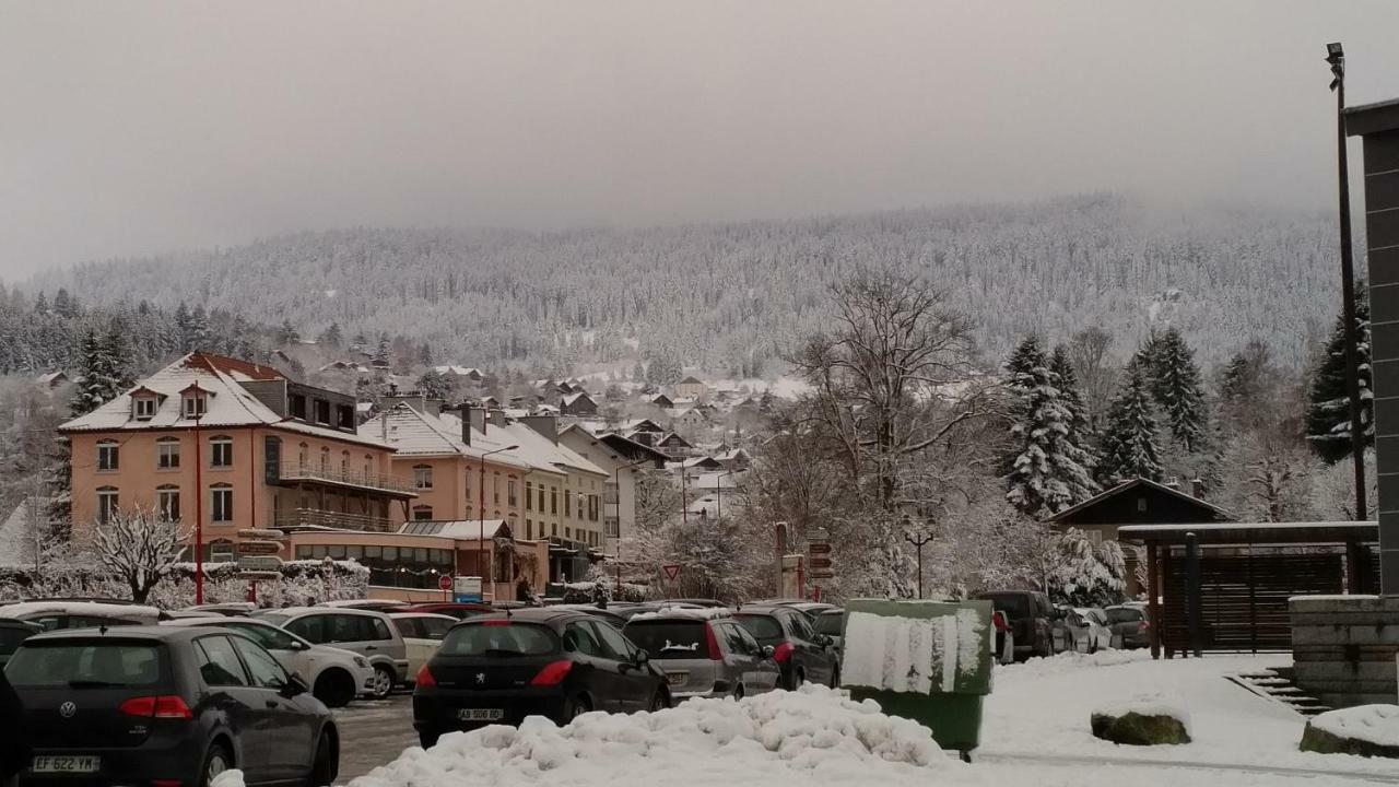 Apartment Village Vosgien *