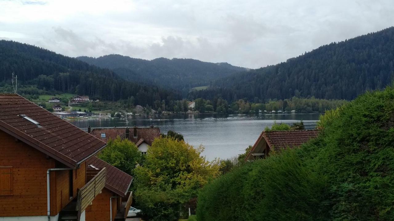 Village Vosgien *
